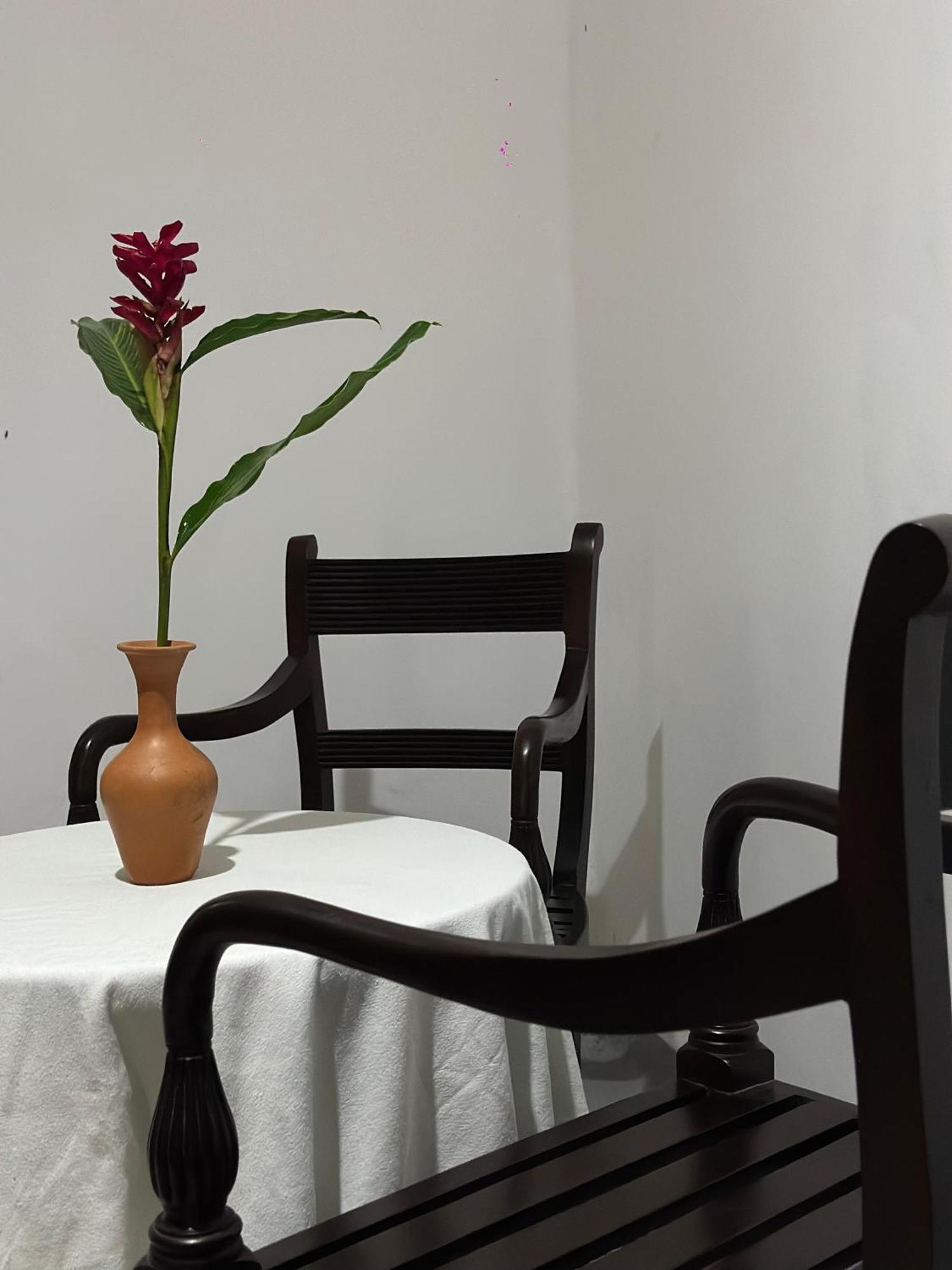 Casa Del Ceylon Διαμέρισμα Hikkaduwa Εξωτερικό φωτογραφία